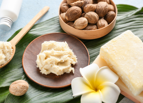 Bơ hạt mỡ có tác dụng dưỡng ẩm da như thế nào?
