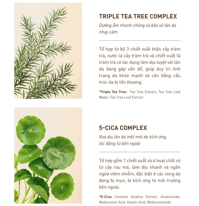 Review Chi Tiết Serum S.O.B Tea Tree - “Tân Binh” Giảm Mụn Mới Từ Hàn Quốc. Ảnh 3