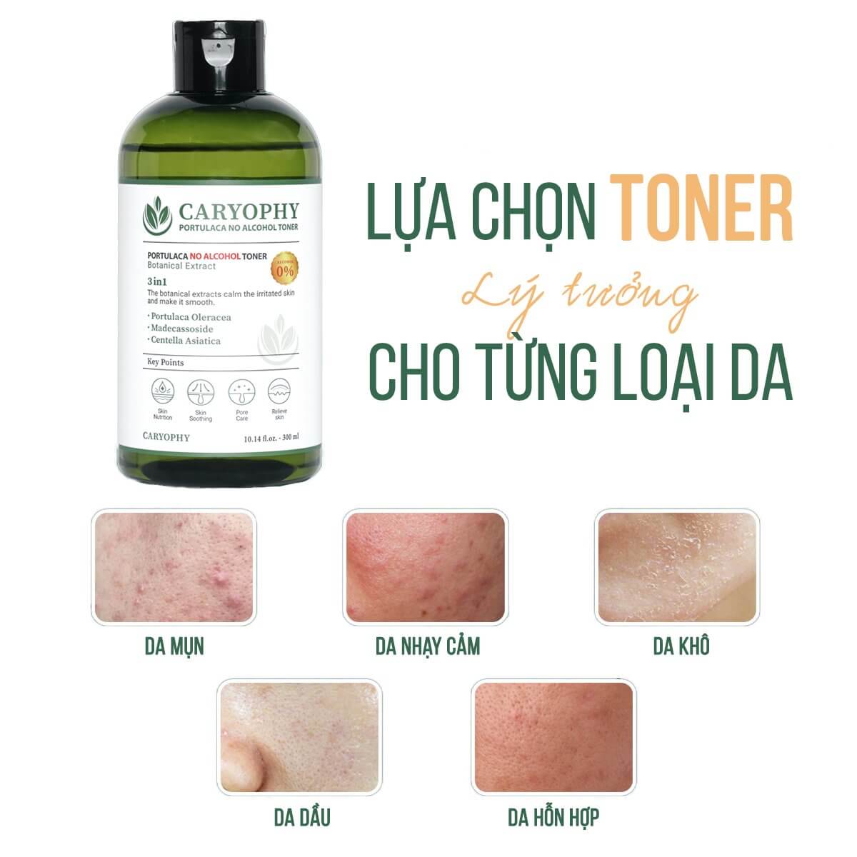 Nước Hoa Hồng Caryophy Portulaca Toner phù hợp cho mọi loại da, đặc biệt là da mụn.