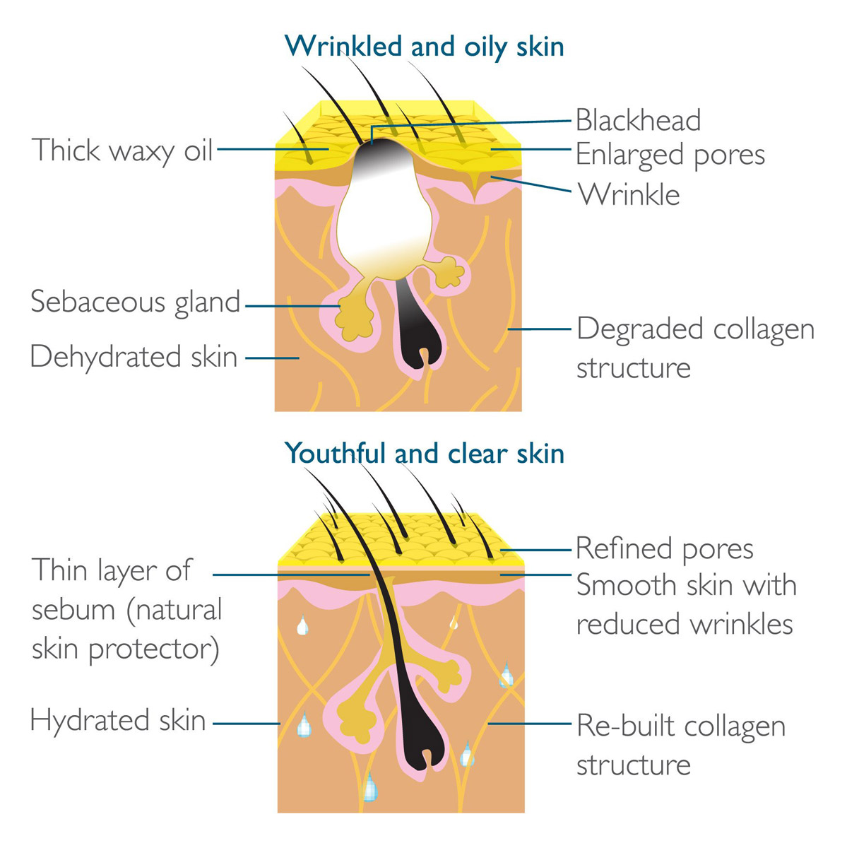 Nước Uống Kinohimitsu Collagen Men Drink chứa 5300mg Collagen Peptide và các thành phần dưỡng ẩm tuyệt vời giúp tăng cường sự đàn hồi, làm mịn các nếp nhăn, hỗ trợ điều tiết tiết bã nhờn, thúc đẩy làm lành các vết sẹo trên khuôn mặt và phục hồi sức sống trẻ trung cho làn da.