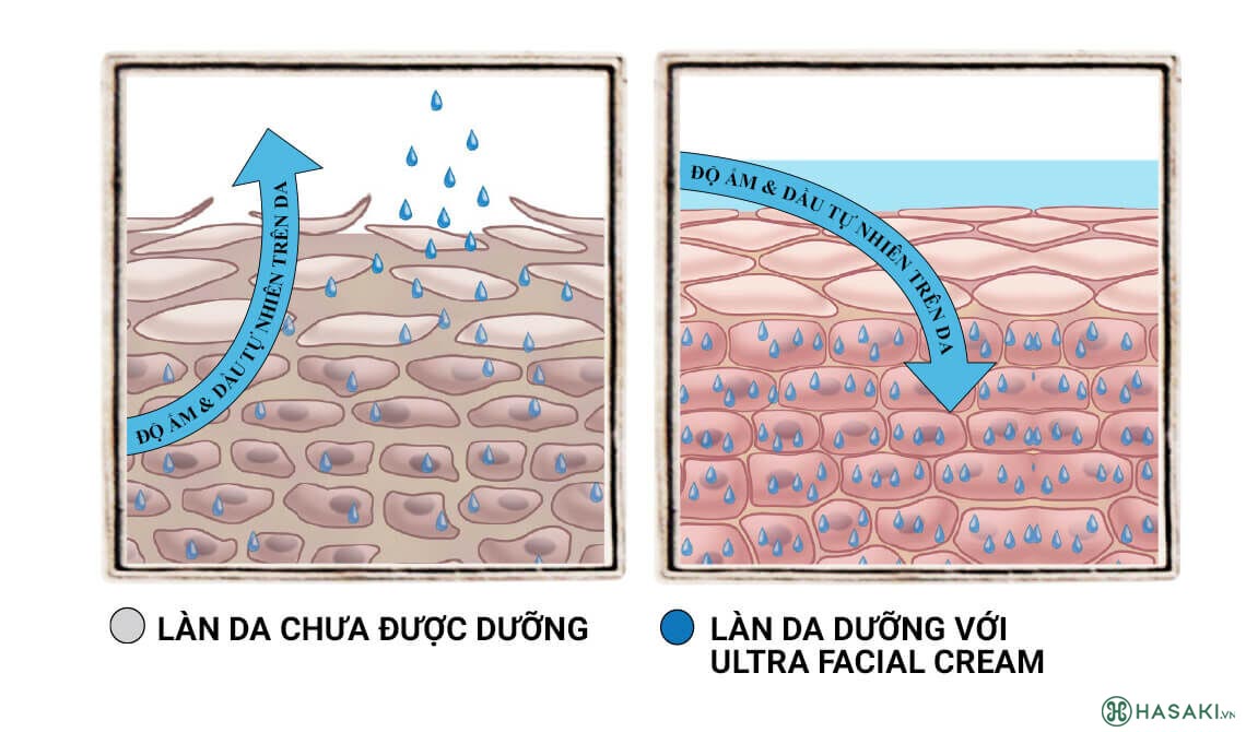 Kem dưỡng ẩm Kiehl's Ultra Facial Cream cho hiệu quả tức thì ngay lần đầu tiên sử dụng.