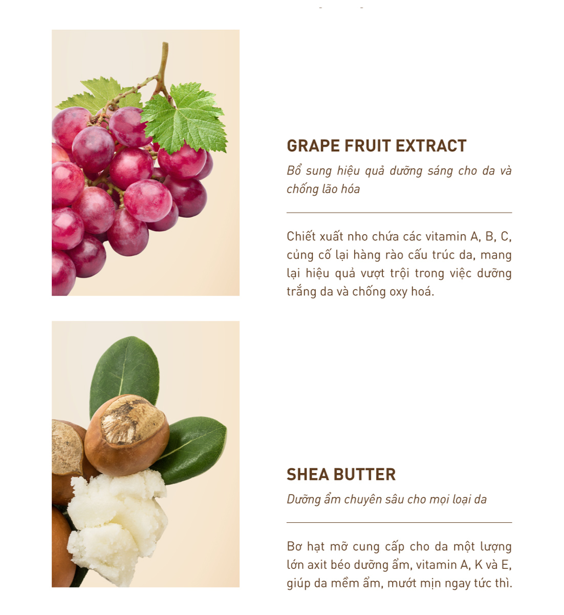 Kem Dưỡng S.O.B Tea Tree Cream nổi bật với 6 loại thành phần thiên nhiên đặc trưng, phù hợp với mọi loại da, ngoài dưỡng ẩm còn ngăn ngừa mụn hiệu quả.