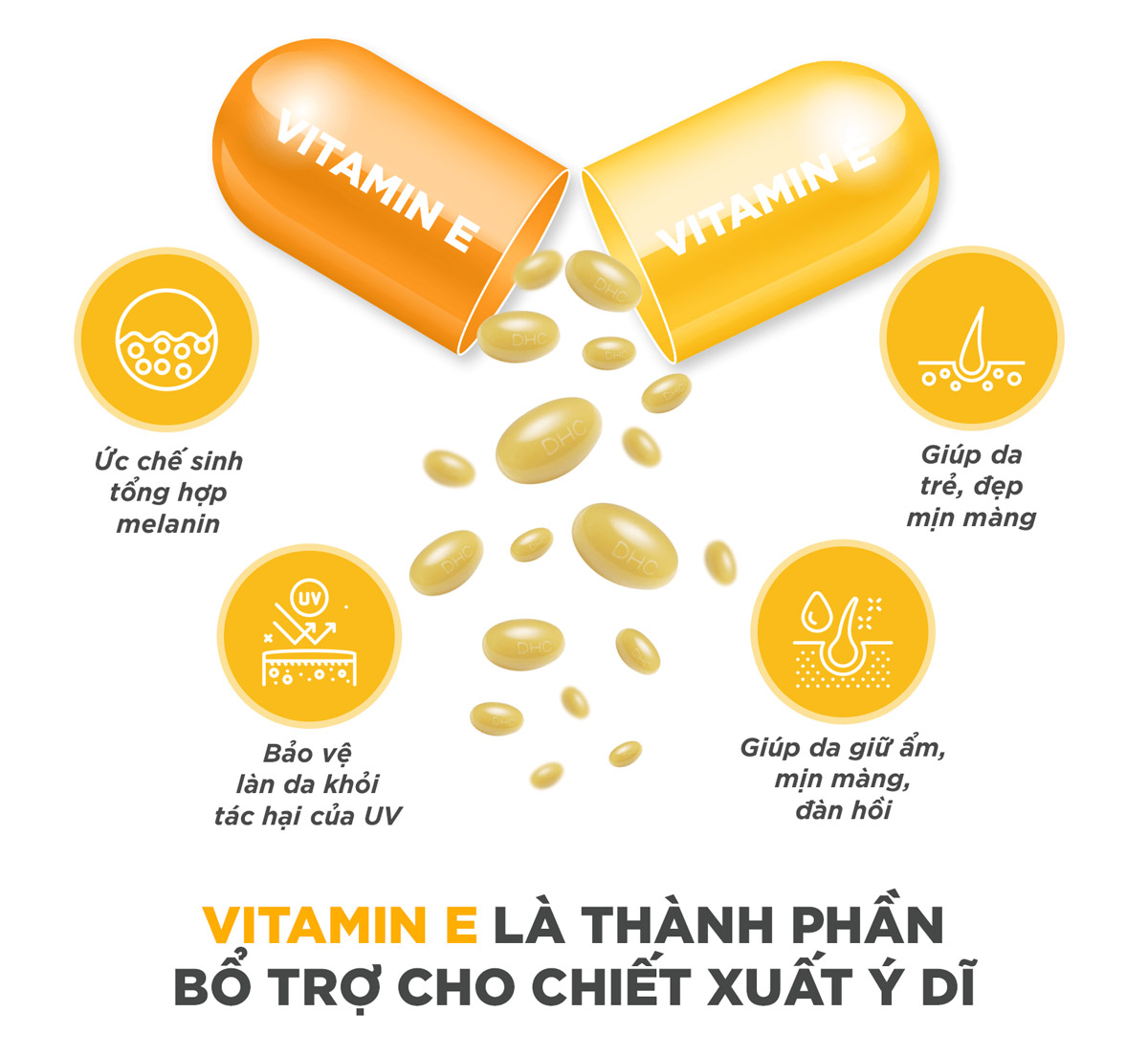 Viên Uống Sáng Da DHC chứa Vitamin E là thành phần bổ trợ cho chiết xuất Ý Dĩ, giúp chống oxy hoá và bảo vệ làn da khỏi tác hại của tia UV, đồng thời giữ ẩm cho da mịn màng, đàn hồi.