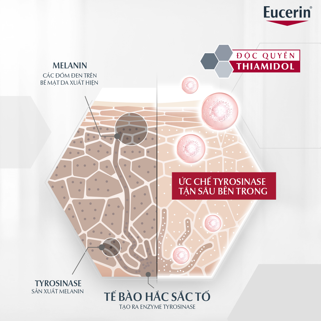 Hoạt chất động quyền Thiamidol trong kem dưỡng sáng da Eucerin