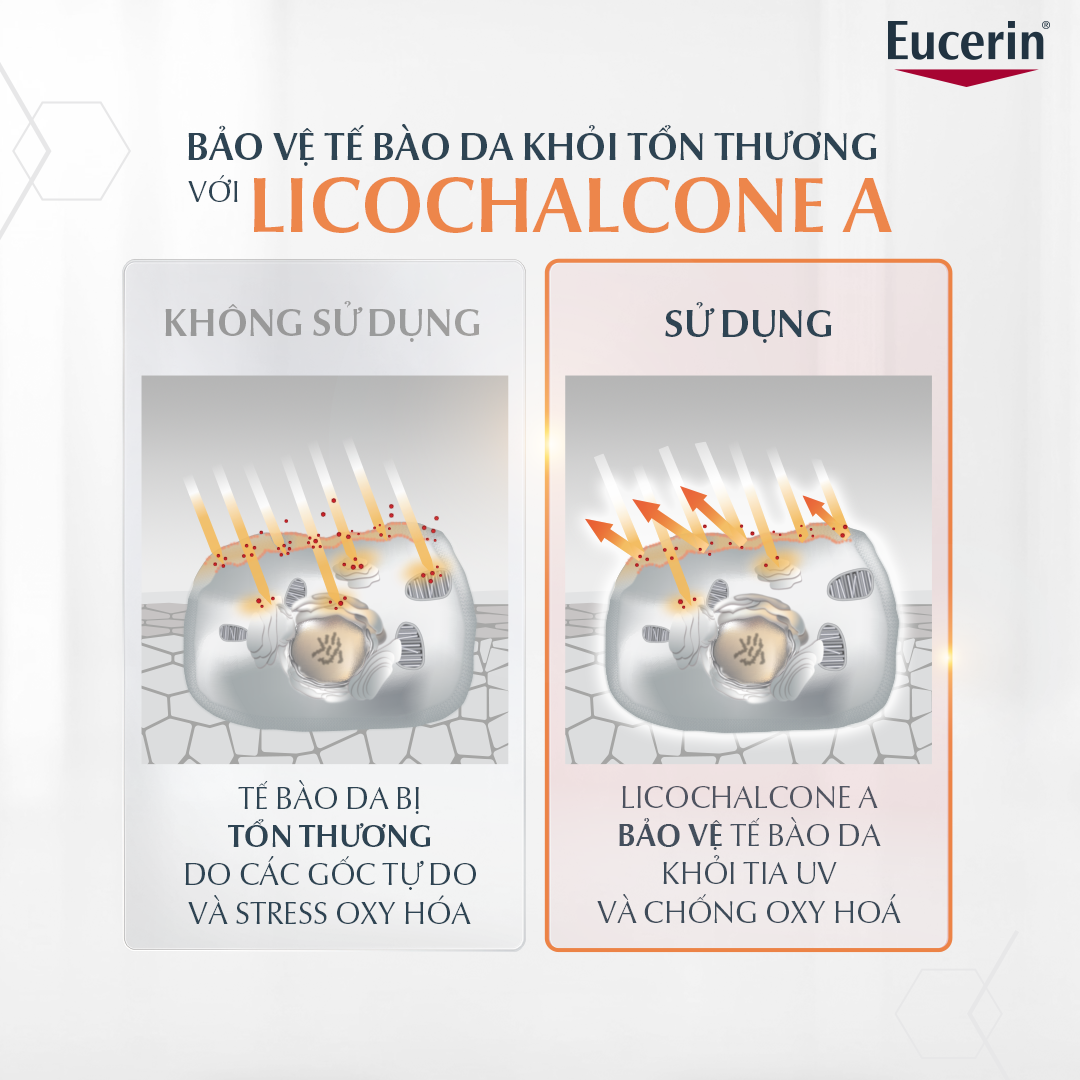 Hoạt chất Licochalcone A giúp dưỡng sáng da hiệu quả